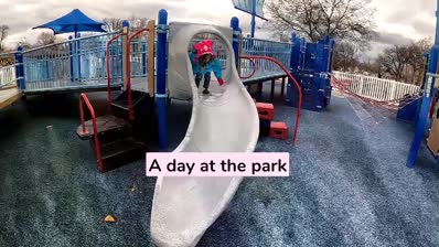 A day at the park